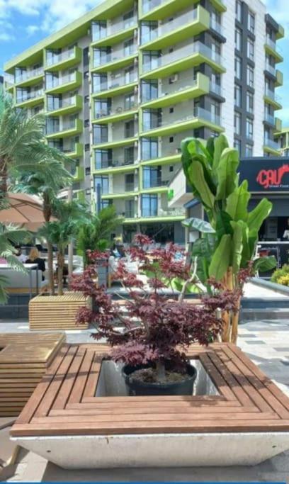 Alezzy Reasort Luxury Apartment 81 Prima Linie La Mare Navodari Bagian luar foto